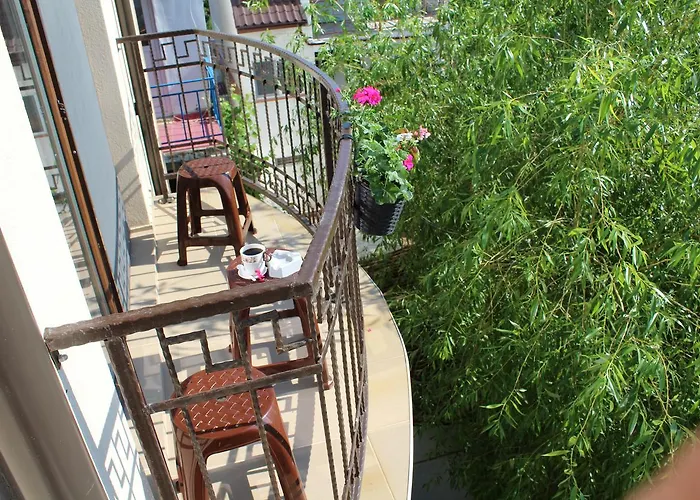 Medeea Séjour chez l'habitant *